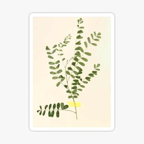 Item preview, Leaf designed and sold by localgeneric.