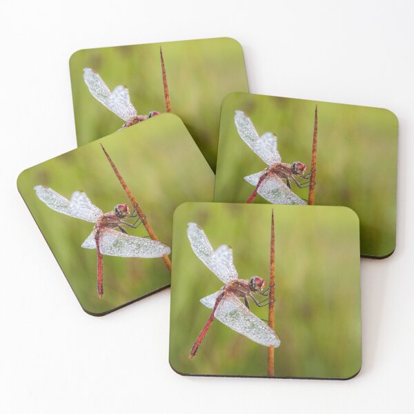 Item preview, Red Veined Darter Dragonfly designed and sold by heidipics.