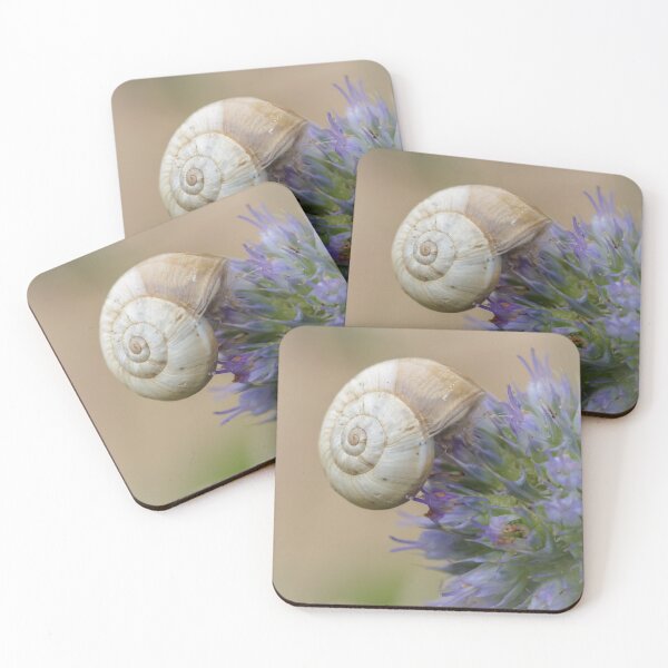 Item preview, Snail on Sea Holly Flower designed and sold by heidipics.