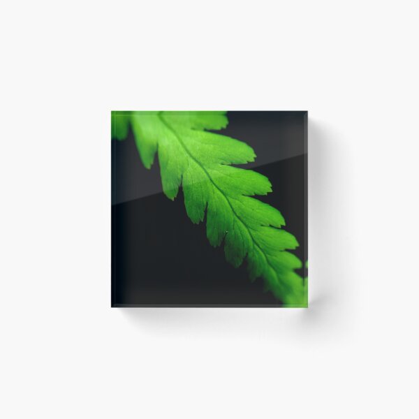 Item preview, Stand Out Leaf V2 Blacked out Background designed and sold by MyMacro_Photography (MyMacro).