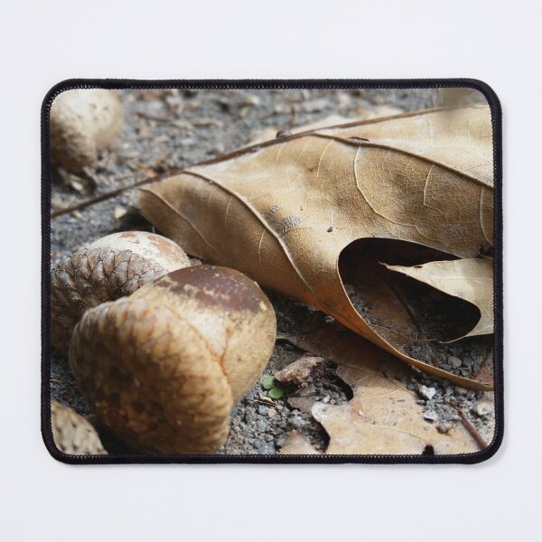Item preview, Acorns and Leaves designed and sold by desdemona47.