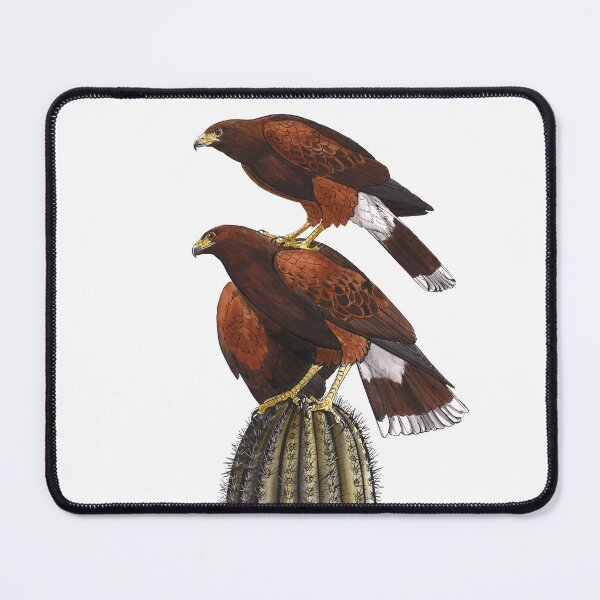 Artikelvorschau, Harris-Hawk-Stack entworfen und verkauft von windfalcon.