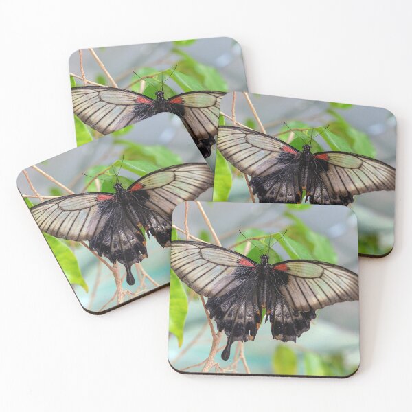 Item preview, Common Mormon Butterfly - Papilio Polytes designed and sold by likbatonboot.