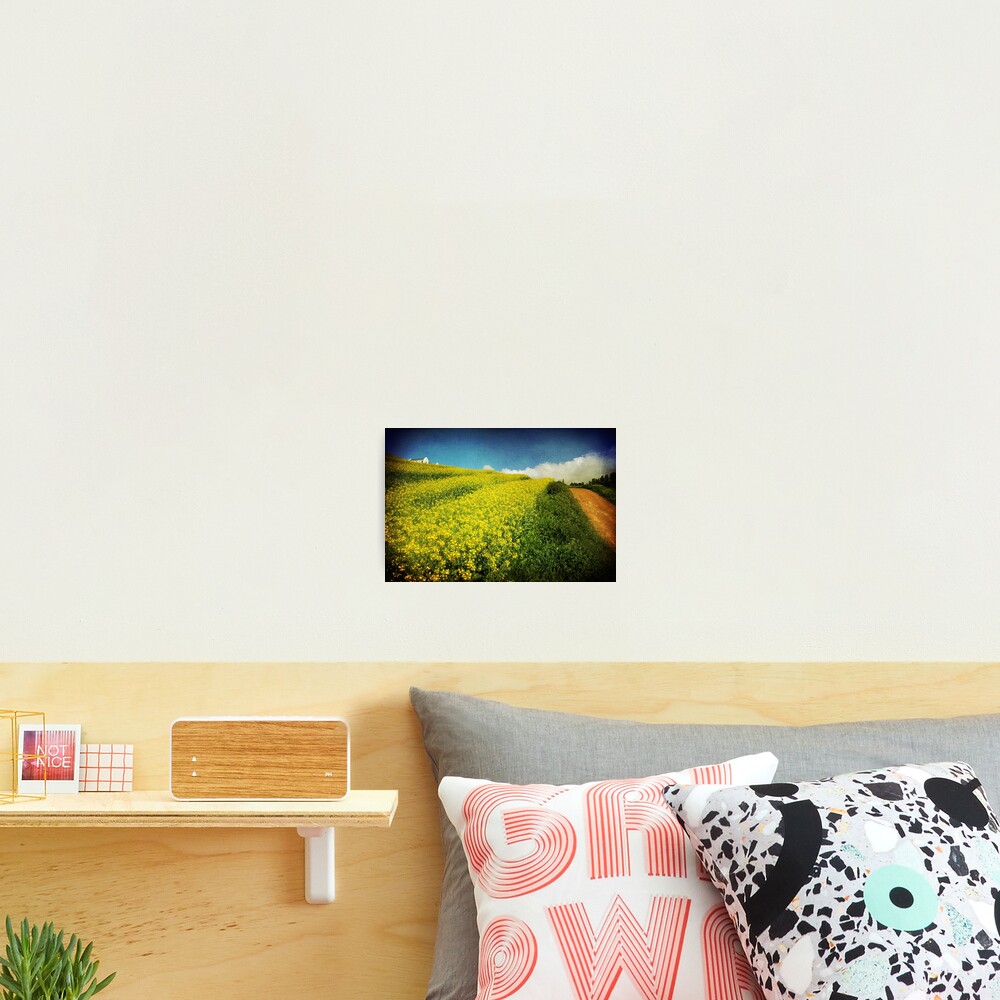 Item preview, Photographic Print designed and sold by BlaizerB.