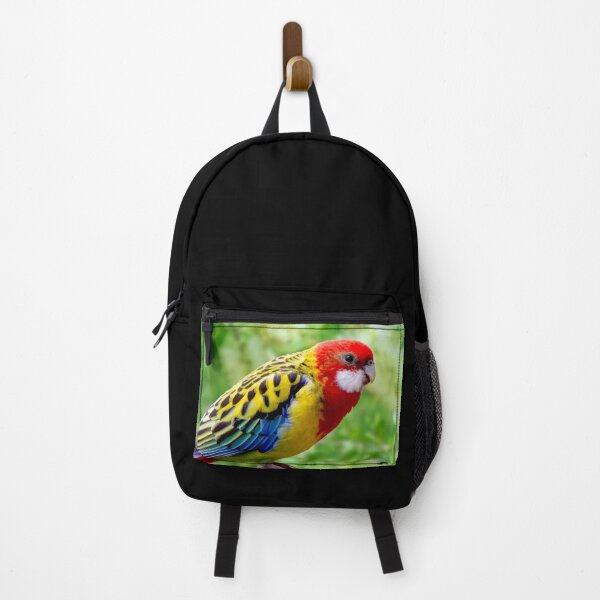 Item preview, Beautiful Eastern Rosella, Platycercus eximius, White Cheeked Rosella designed and sold by Orianah.