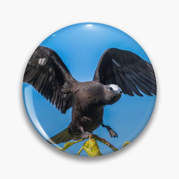 Item preview, Black Noddy designed and sold by JohnKarmouche.