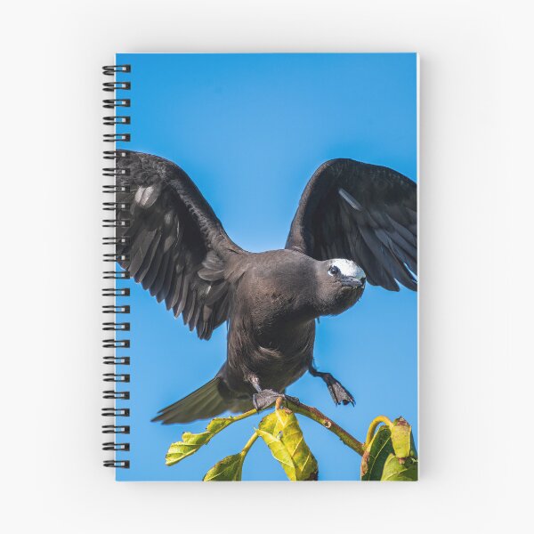 Item preview, Black Noddy designed and sold by JohnKarmouche.