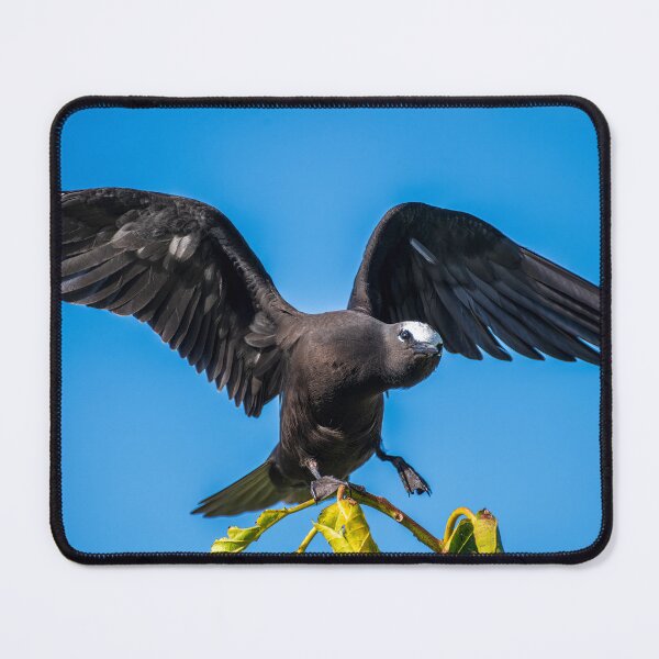 Item preview, Black Noddy designed and sold by JohnKarmouche.