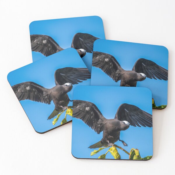 Item preview, Black Noddy designed and sold by JohnKarmouche.