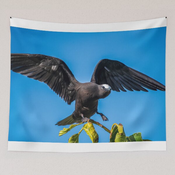 Item preview, Black Noddy designed and sold by JohnKarmouche.