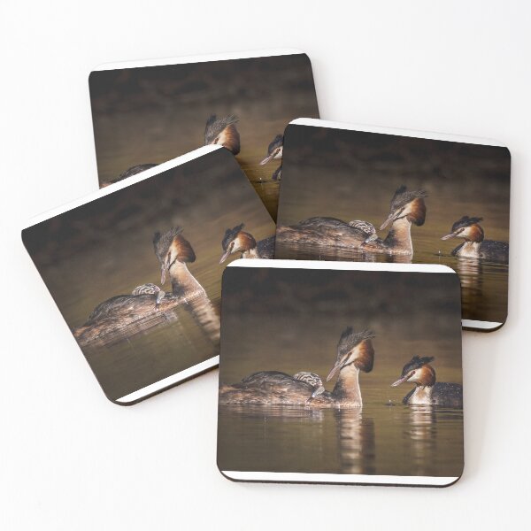Item preview, Grebe Family designed and sold by heidipics.