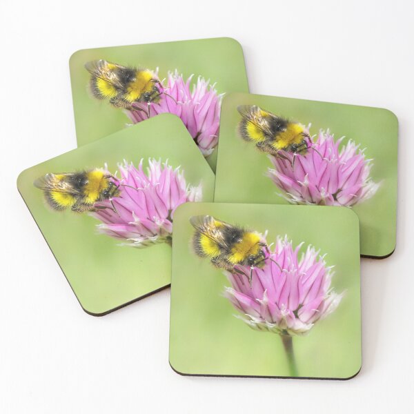 Item preview, Busy Bee designed and sold by heidipics.