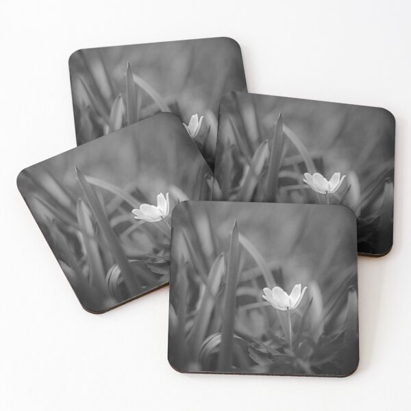 Item preview, Wood Anemone designed and sold by heidipics.