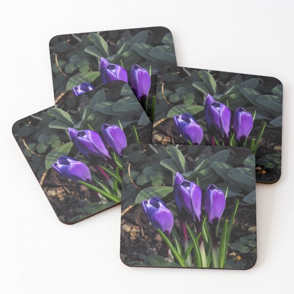 Item preview, Dark Purple Crocus designed and sold by wiggyofipswich.