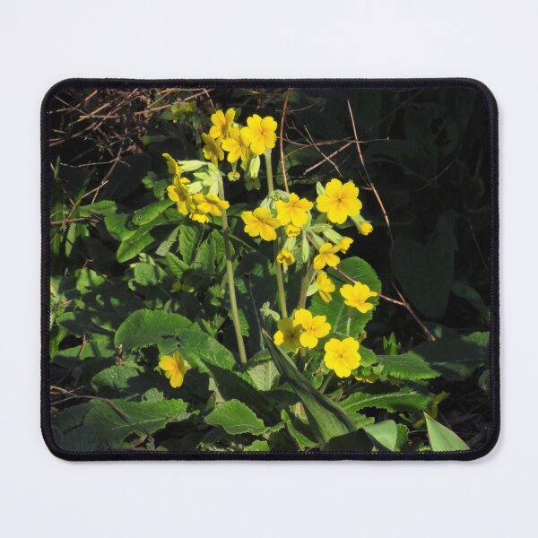 Item preview, Bright Yellow Primula designed and sold by wiggyofipswich.