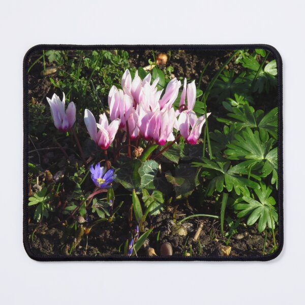 Item preview, Pink Cyclamen and Purple Anemone Blanda designed and sold by wiggyofipswich.