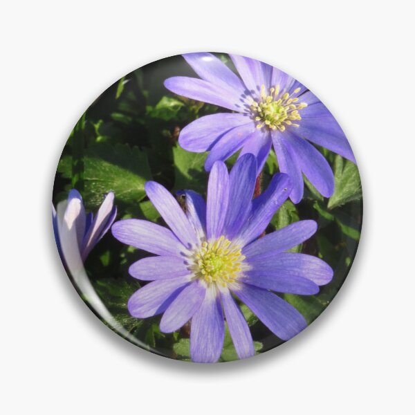 Item preview, Purple Anemone Blanda designed and sold by wiggyofipswich.