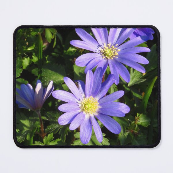 Item preview, Purple Anemone Blanda designed and sold by wiggyofipswich.