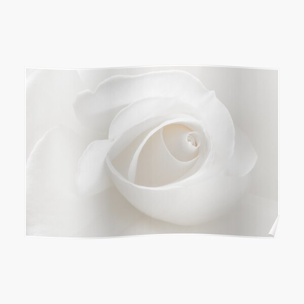 Purity Poster
