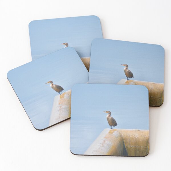 Item preview, Double-Crested Cormorant I designed and sold by Tessia Photography.