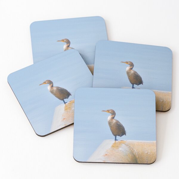 Item preview, Double-Crested Cormorant II designed and sold by Tessia Photography.