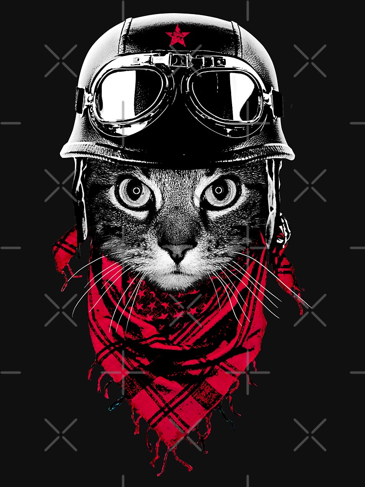 Adventurer Cat by clingcling