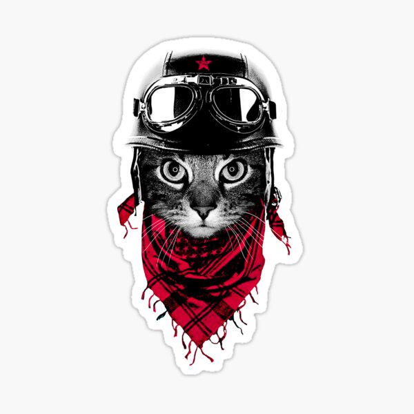 Adventurer Cat Sticker