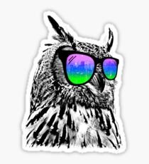 Cool Owl Sticker