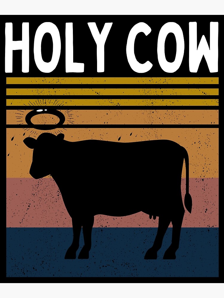 Why Do We Say 'Holy Cow'?