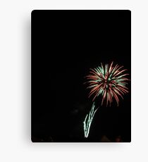 'Flower' Canvas Print