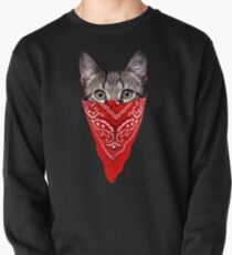 Sudadera cerrada Gato gángster