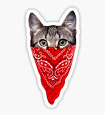 Gangster Cat Sticker