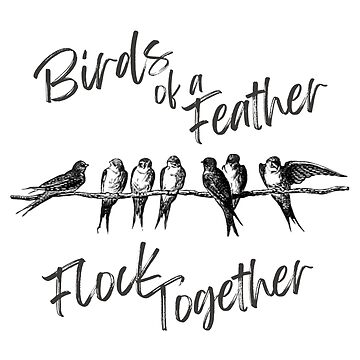 Do Birds of a Feather Flock Together?