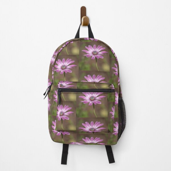 Item preview, Spring African Daisy designed and sold by K D Graves Photography.