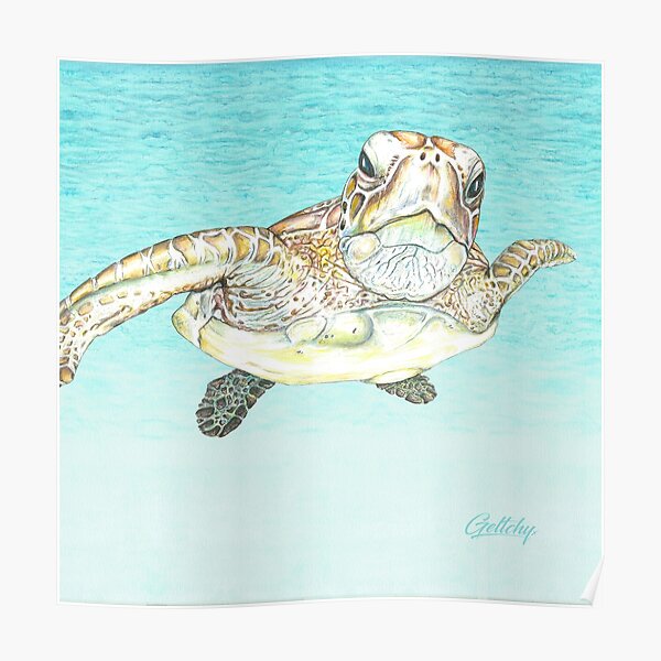 TURTLE Poster