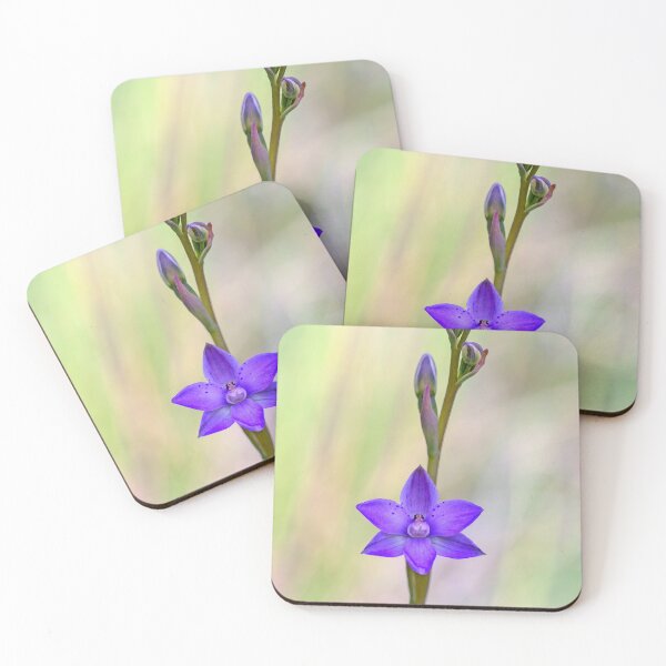 Item preview, Native sun orchid designed and sold by DaveBassett.