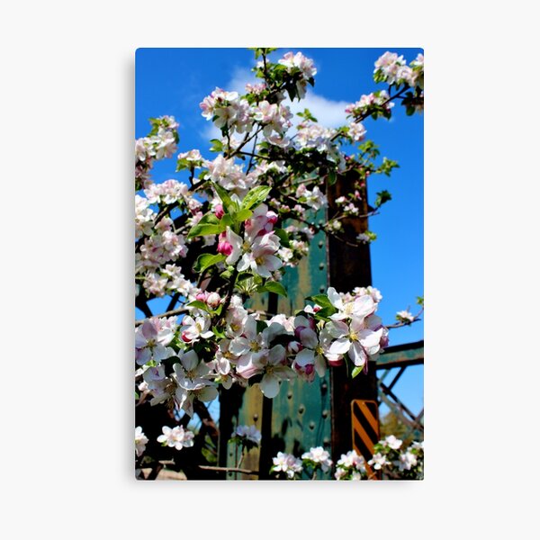 Item preview, Wild Apple Blossoms II designed and sold by Kathleen Daley.