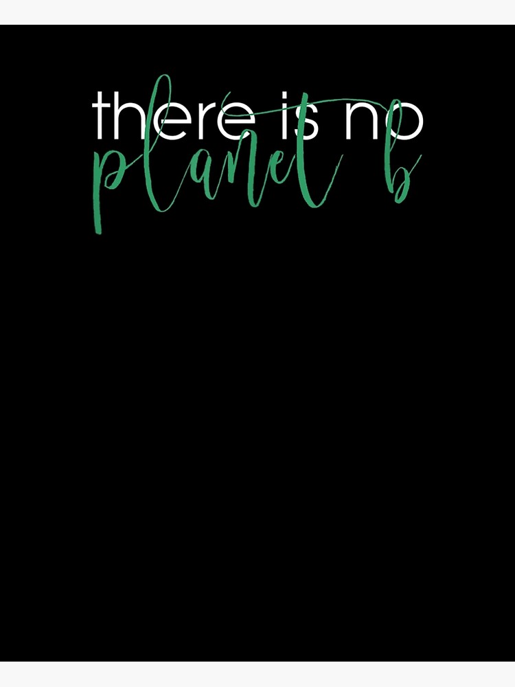 "There Is No B Climate Change" Poster for Sale by