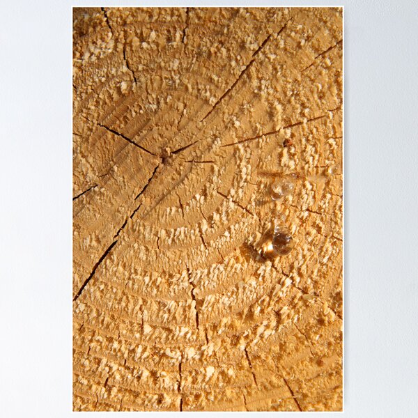 Item preview, Tear designed and sold by Walter Quirtmair.