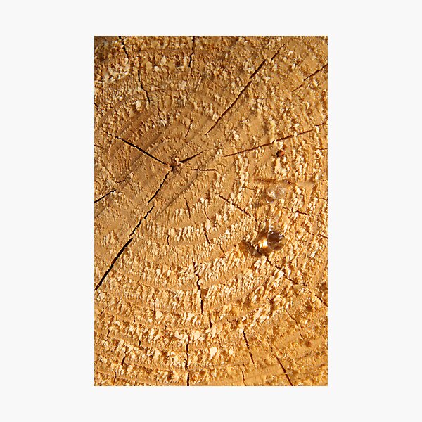 Item preview, Tear designed and sold by Walter Quirtmair.