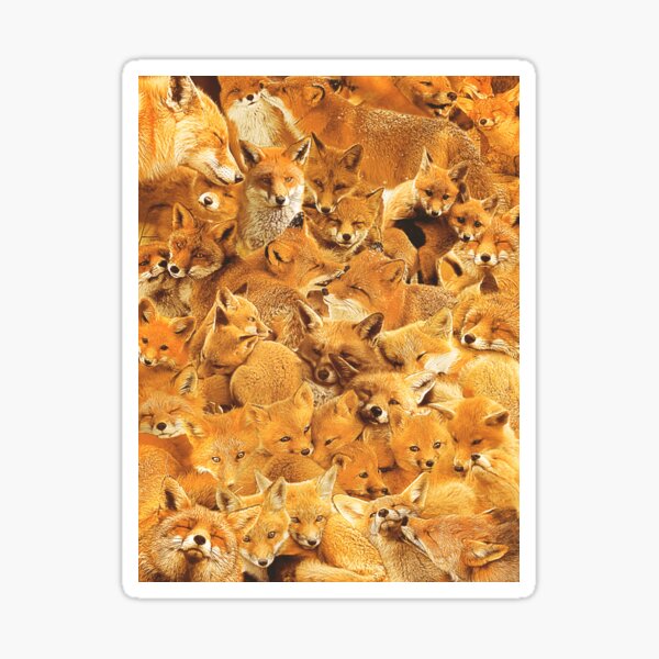 Renard Roux Stickers Redbubble