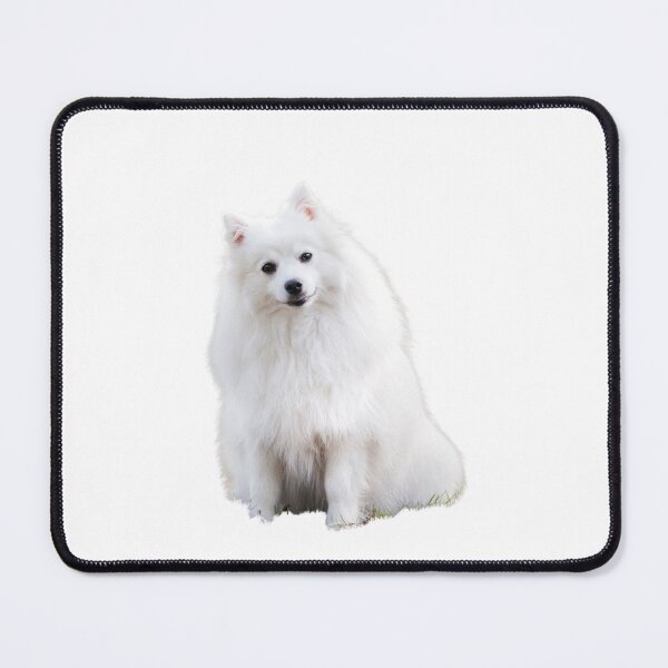 Item preview, beautiful white little dog designed and sold by JAG2B.