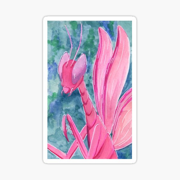 mantis Sticker