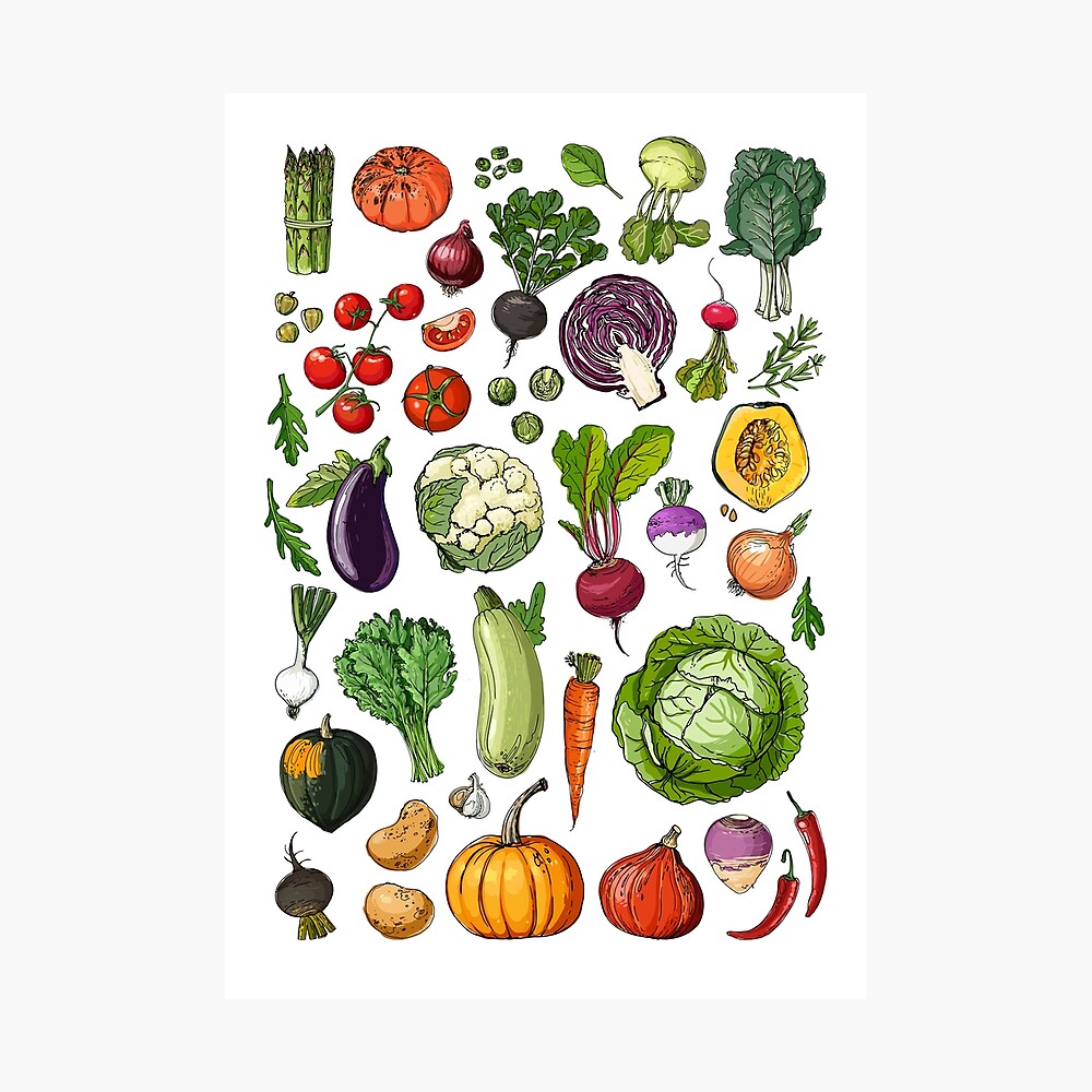 Sorts of hand drawing vegetables vector set 01 free download