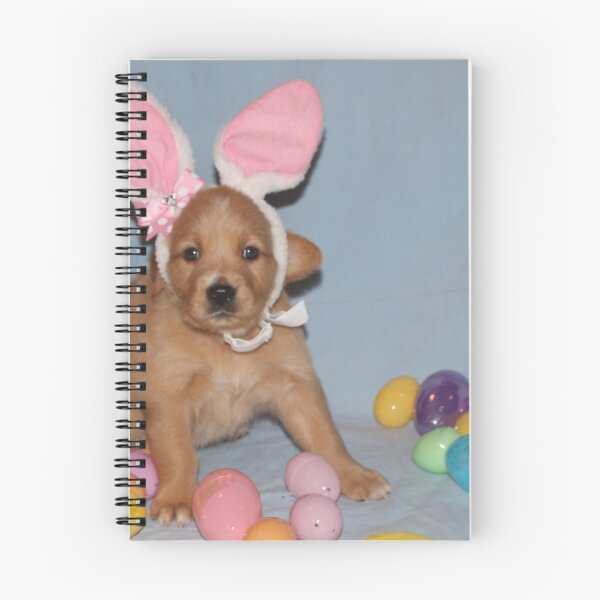 Item preview, Rosie- Easter Bunny Tryouts designed and sold by goldnzrule.