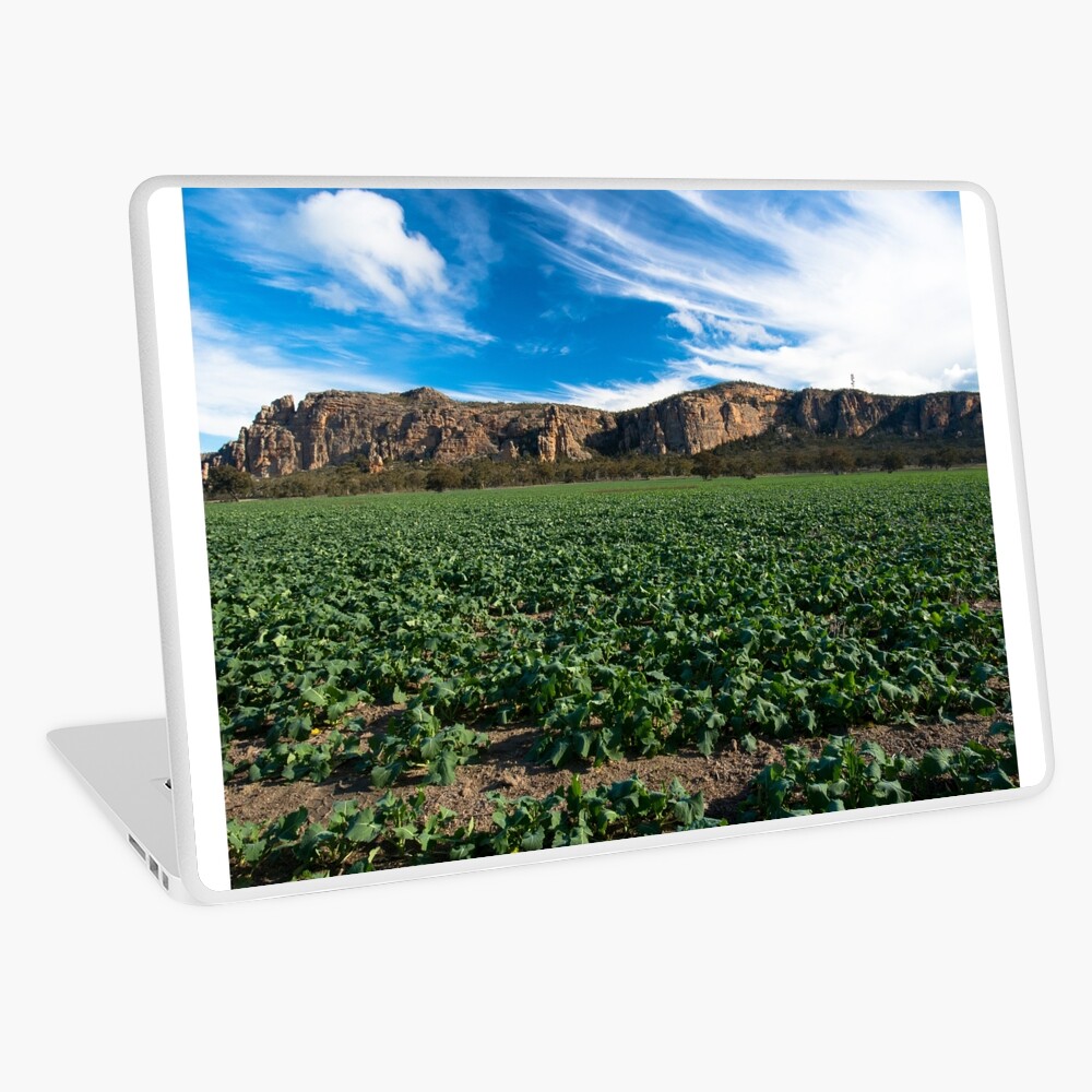 Item preview, Laptop Skin designed and sold by joshw.