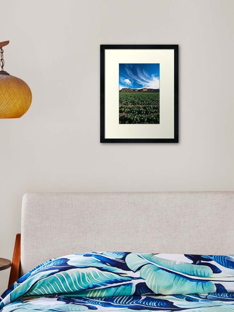 Thumbnail 1 of 7, Framed Art Print, Arapiles designed and sold by joshw.