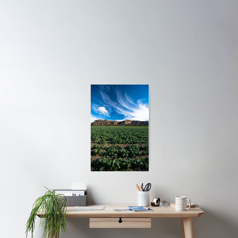 Item preview, Poster designed and sold by joshw.