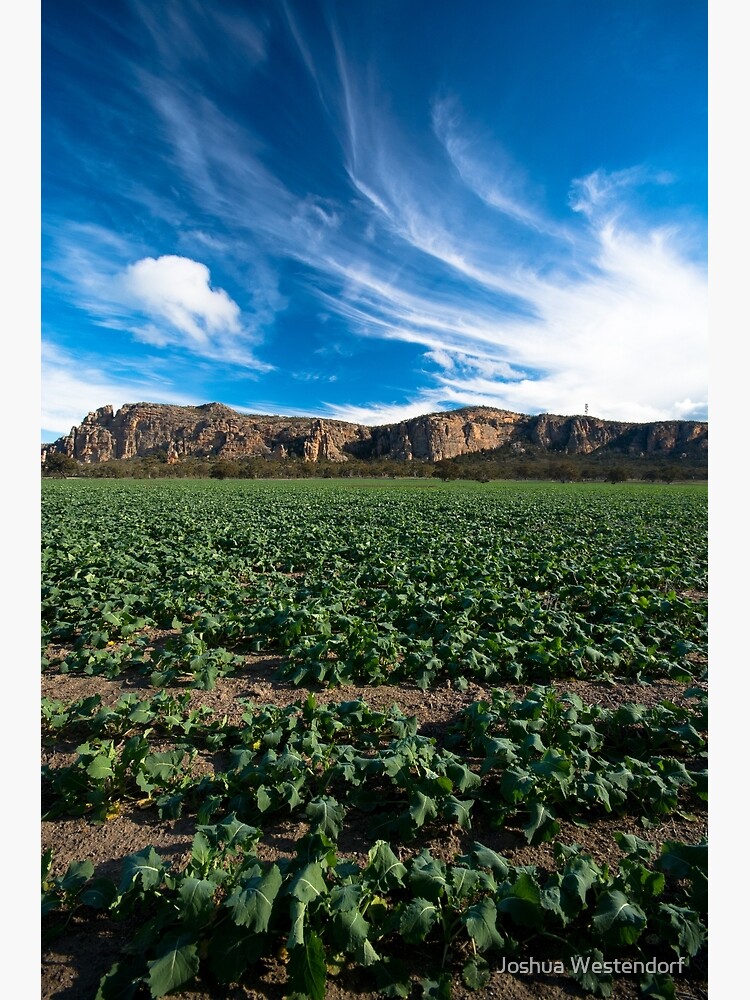 Thumbnail 7 of 7, Framed Art Print, Arapiles designed and sold by joshw.