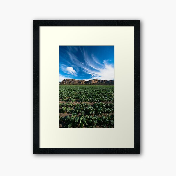 Framed Art Print